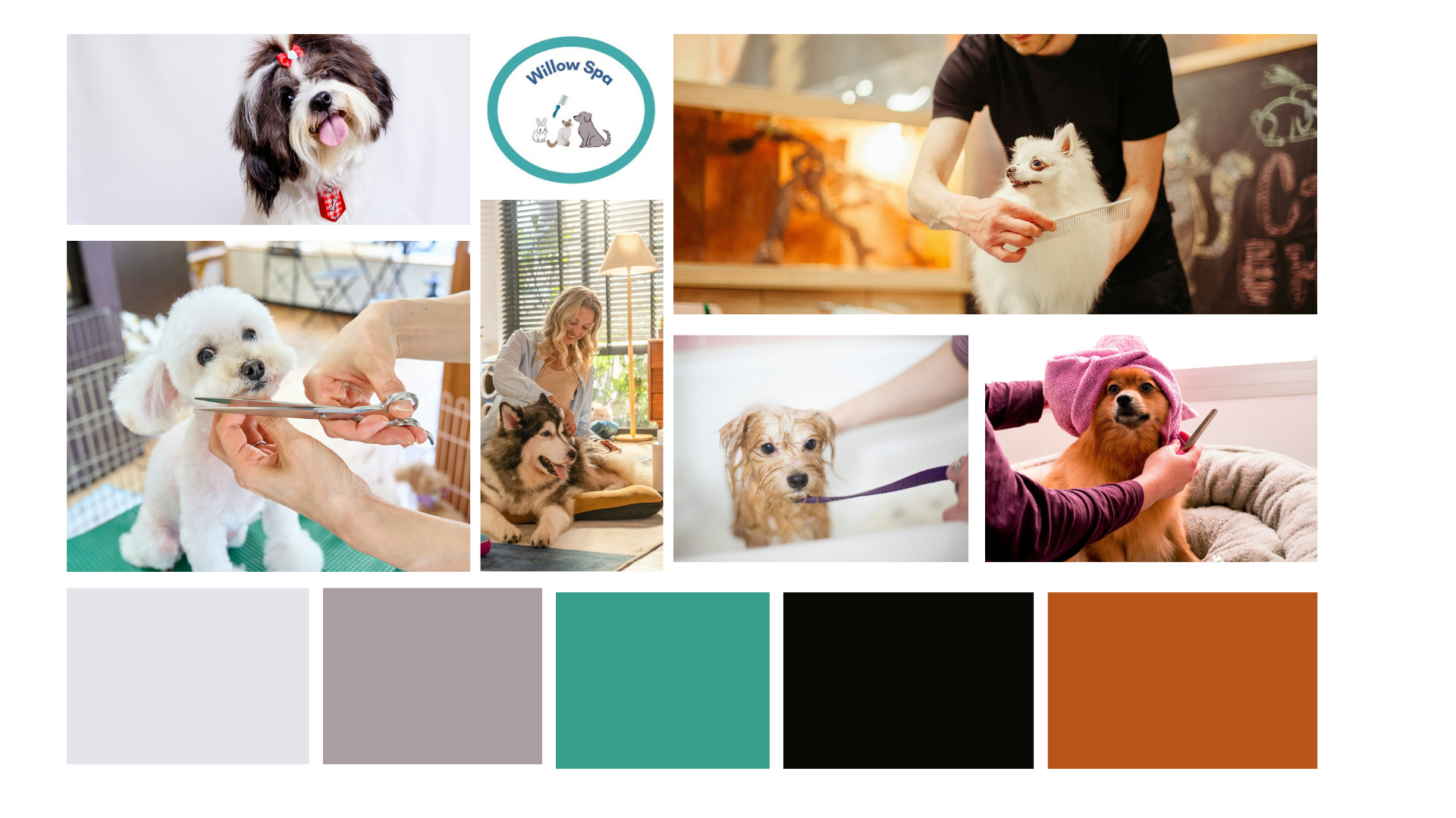 page 3 of Willow Pet Spa